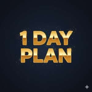 1 day plan
