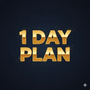 1 day plan